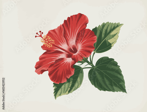 A beautifully illustrated hibiscus flower in vibrant red pops against a soft background, highlighting the beauty of nature and bringing joy and warmth to the viewer.