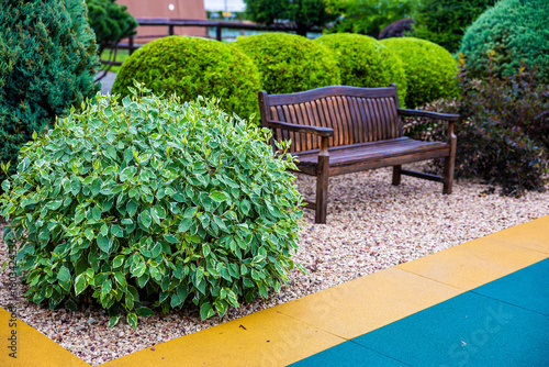 bench in the garden