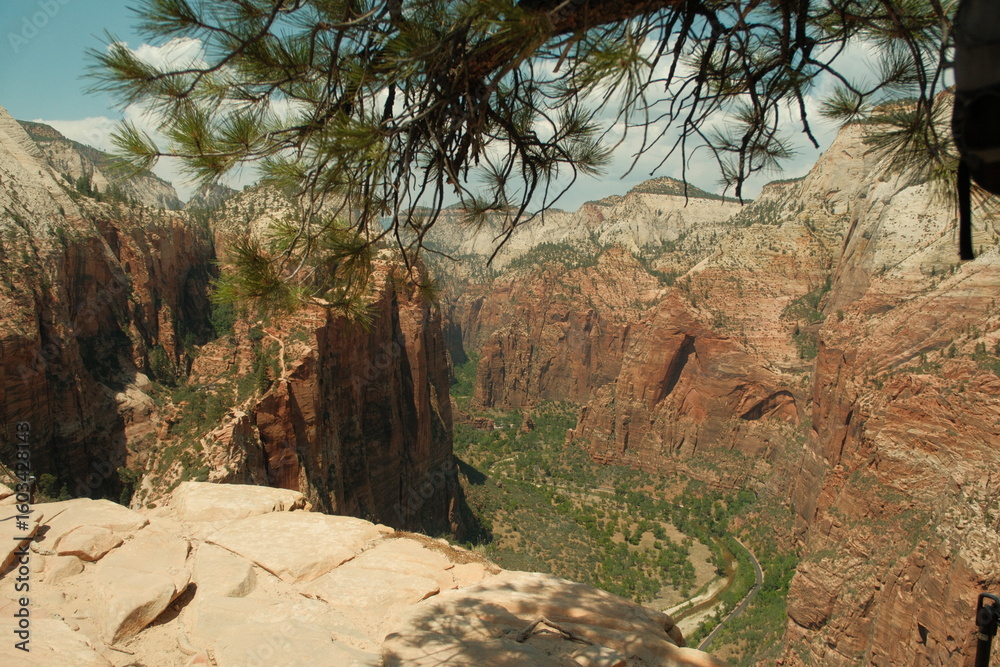 Obraz premium View from top of Angel's landing hike at zion national park Utah of red cliffs and greenery and blue skies