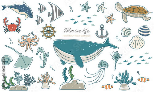 海洋生物たちの線画素材セット