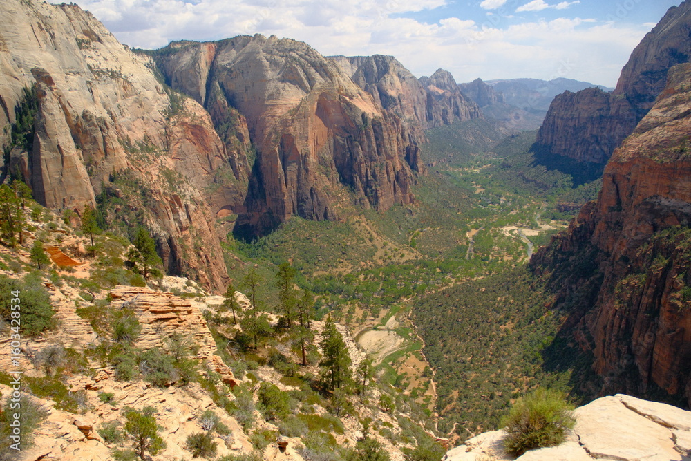 View from top of Angel's landing hike at zion national park Utah of red cliffs and greenery and blue skies View from top of Angel's landing hike at zion national park Utah of red cliffs and greenery and blue skies