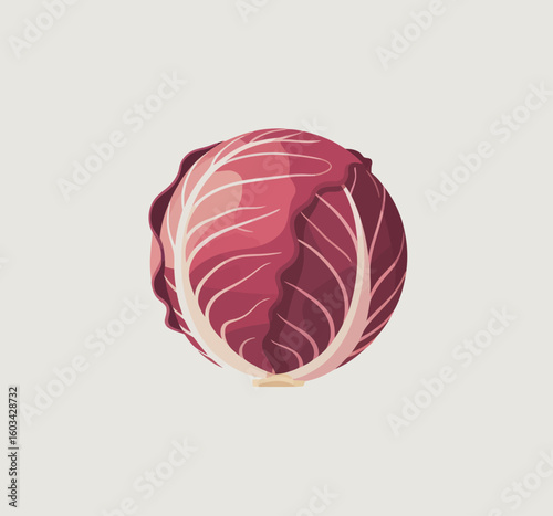 A beautifully illustrated red cabbage stands out with its rich texture and vibrant color, symbolizing freshness and health in an eye-catching design perfect for culinary art.