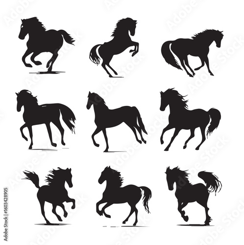 vector illustration of bucking horse silhouette set, Black & White silhouette set