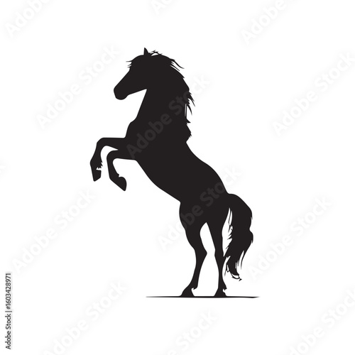 vector illustration of bucking horse silhouette set, Black & White silhouette set