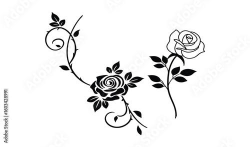 Elegant black and white illustration of two blooming roses with swirling vines and leaves on a white background