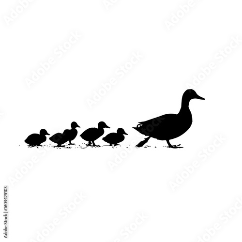 Silhouette of a duck and ducklings walking