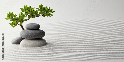 Zen garden with balanced stones and miniature bonsai tree on raked white sand. Meditation, peace, harmony, and Japanese relaxation concept for banner, spa card