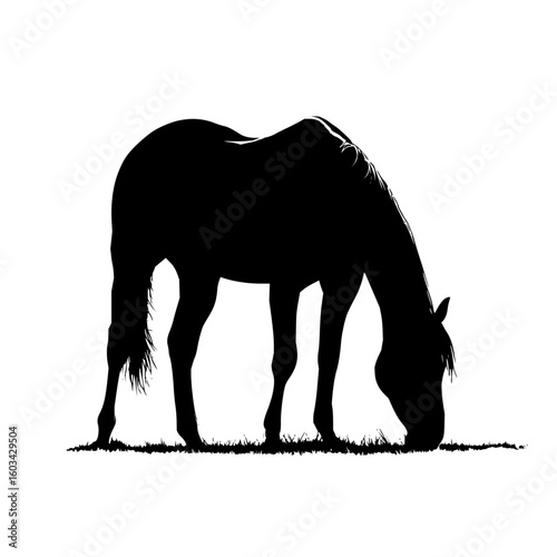 Silhouette of a horse grazing on grass