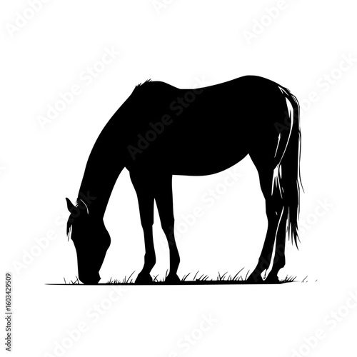 Silhouette of a horse grazing in a city park