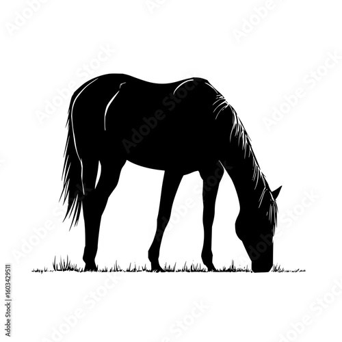 Silhouette of a horse grazing in an urban park