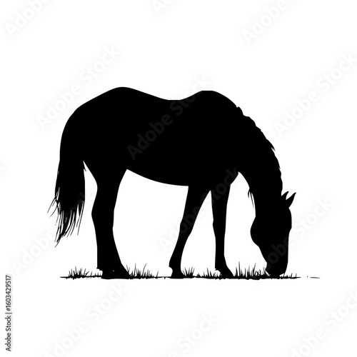 Silhouette of a horse grazing in an urban park