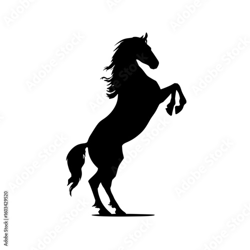 Silhouette of a rearing horse