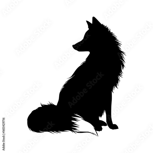 Silhouette of a fluffy fox sitting with its tail curled and looking to the left side of the image frame