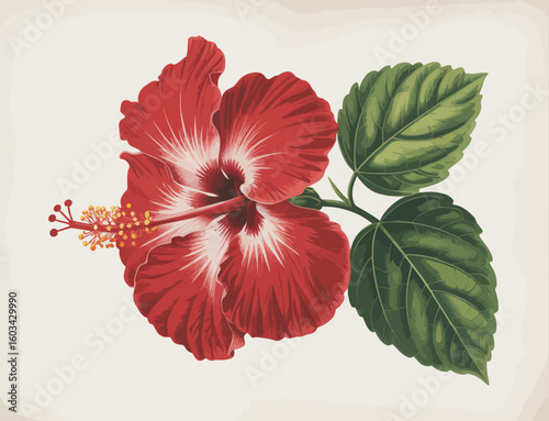 This beautiful image showcases a vibrant red hibiscus flower alongside lush green leaves, representing tropical beauty and nature's charm in a stunning artistic setting.