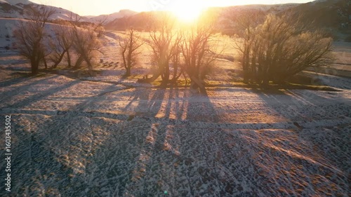 Drone footage of wintery trees in the snow at sunset.