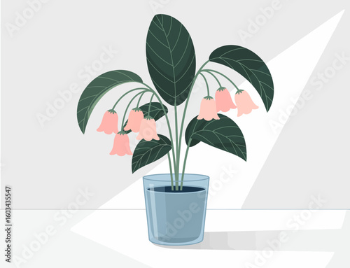 A vibrant indoor plant features lush green leaves and delicate bell-shaped flowers, adding elegance and color to any interior space and evoking a sense of tranquility.