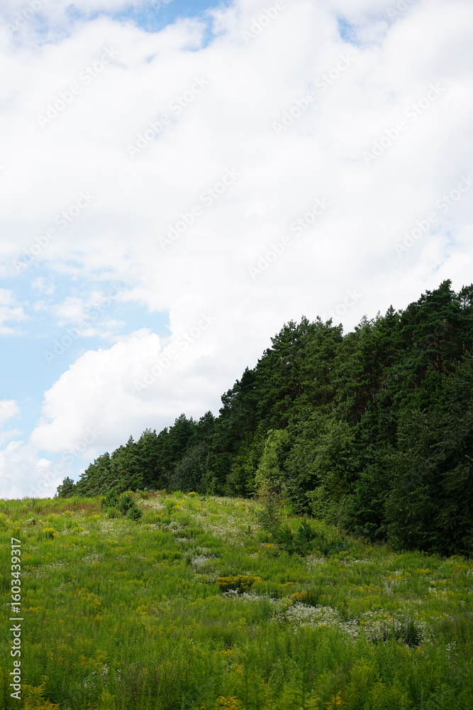 Obraz premium clouds over the mountains