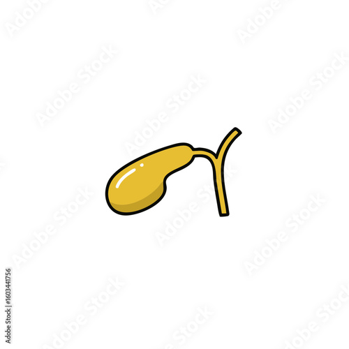 Vector illustration of gallbladder icon medical style on white background, anatomy symbol