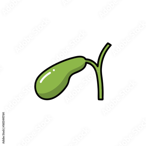Vector illustration of gallbladder icon medical style on white background, anatomy symbol