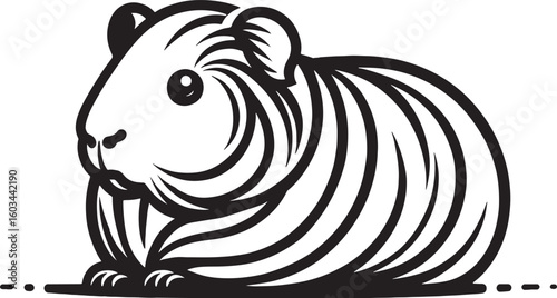 Vector illustration of a guinea pig in black and white colors