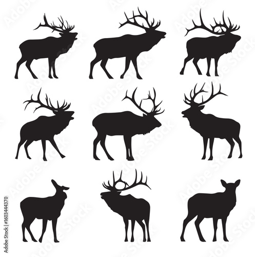 vector illustration of bugling elk silhouette set, Black & White silhouette set