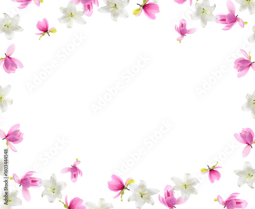 Beautiful magnolia and lily flowers swirling against white background