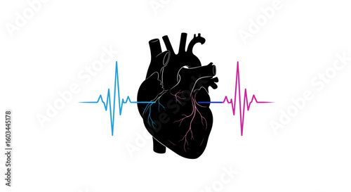 Illustration of a human heart with a colorful heartbeat line running across it on a white background design