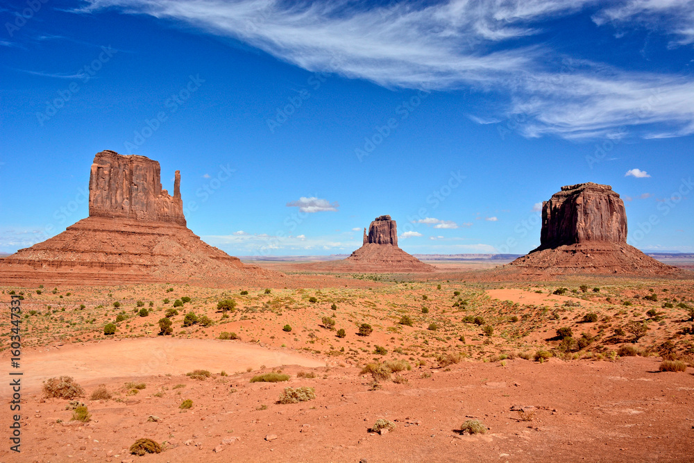 Fototapeta premium Monument Valley Navajo Tribal Park, Arizona USA