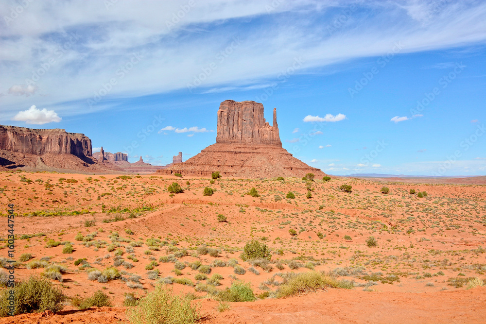 Fototapeta premium Monument Valley Navajo Tribal Park, Arizona USA