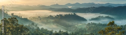 The amazing fog landscape is a key feature of the long panoramic banner of the black forest