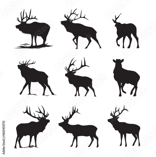 vector illustration of bull elk silhouette set, Black & White silhouette set