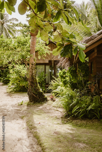 Vertical image of a building exterior of wooden holiday homes made with natural material surrounded by lush tropical greenery outdoor at daytime during a summer holiday in the Philippines in Asia.
