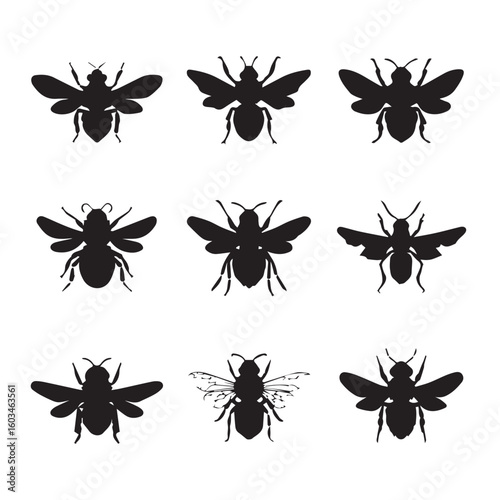 vector illustration of bumble bee silhouette set, Black & White silhouette set
