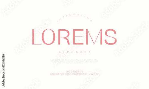 Soft elegant sans serif font with a feminine tone perfect for fashion, lifestyle, and editorial