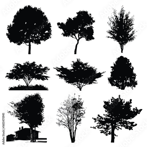 vector illustration of bush silhouette set, Black & White silhouette set