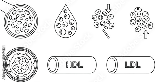 Vector art of a scientific illustration of blood cells, cholesterol, hdl, and ldl, depicted in line art, isolated on white background, representing health and medical concepts