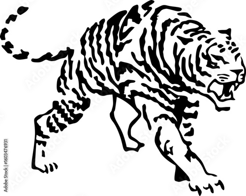 vector illustration of a tiger