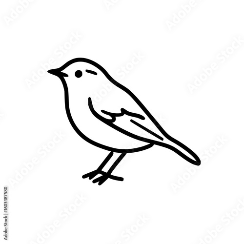 Simple bird drawing vector illustration for ornithology lovers and bird watching enthusiasts design element