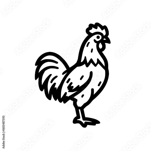 Black and white line art illustration of a rooster chicken farm animal poultry livestock bird vector drawing