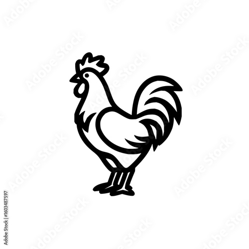 Rooster vector illustration chicken farm animal poultry fowl domestic bird cock outline drawing clipart graphic