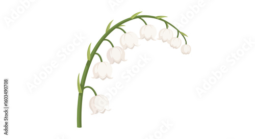 Graceful Lily of the Valley Cascade: A Serene Botanical Illustration with a Delicate Floral Display