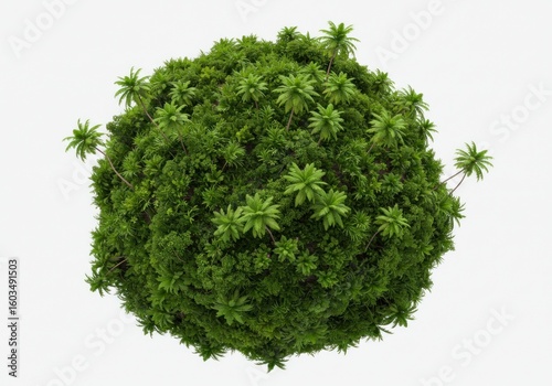 Lush green sphere, tropical plants