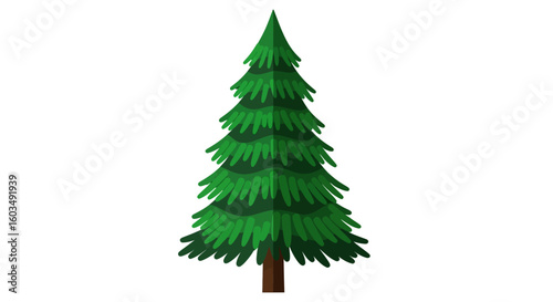 Stylized Evergreen Tree Illustration with Detailed Branches and Shadowing on a White Background
