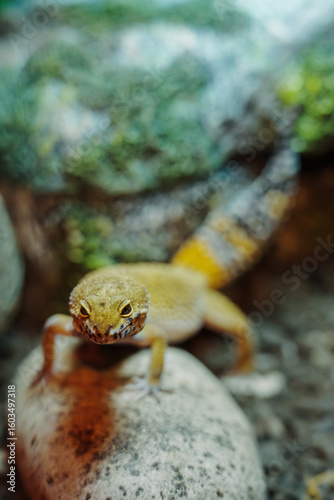Vivid depiction of a yellow-hued lizard resting on a rock with a blurred natural background.