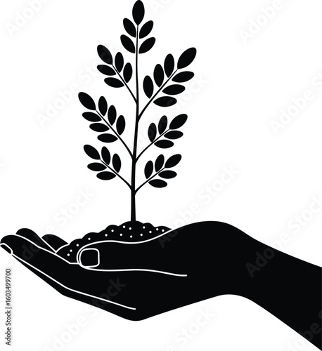 Hand holding young plant, soil roots exposed, black and white vector, environmental care, nature conservation, ecology concept, sustainability illustration