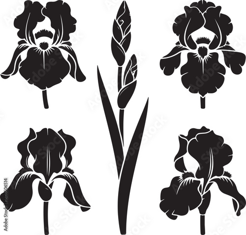Stylized Iris Silhouette Collection Vector Clip Art of Blooming Irises on White