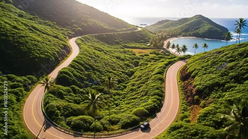 Aerial View Winding Road Through Lush Green Hills with Palm Trees