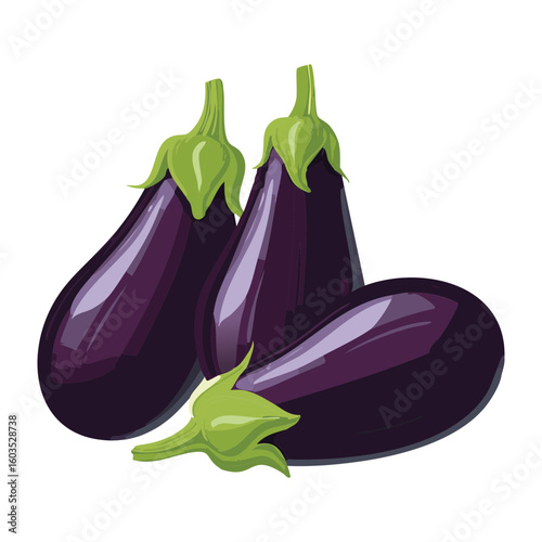 Fresh Purple Vegetable Eggplants - Vector Illustration