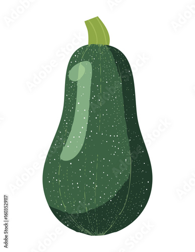 Organic Green Zucchini Cooking Ingredient - Vector Illustration