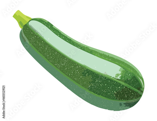 Fresh Zucchini Isolated Healthy Vegetable - Vector Illustration